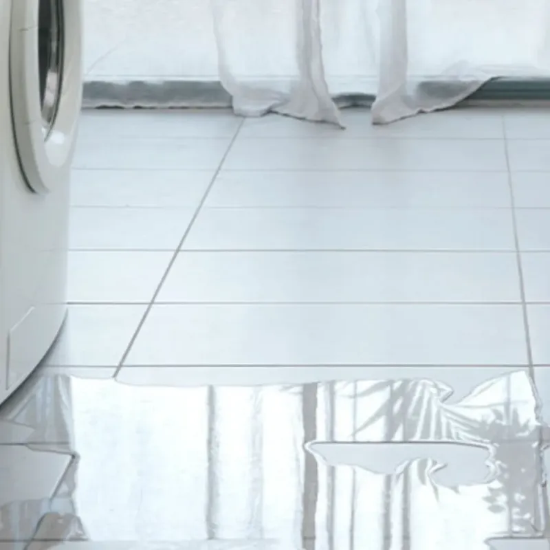Appliance Leak Cleanup in Sherman, TX