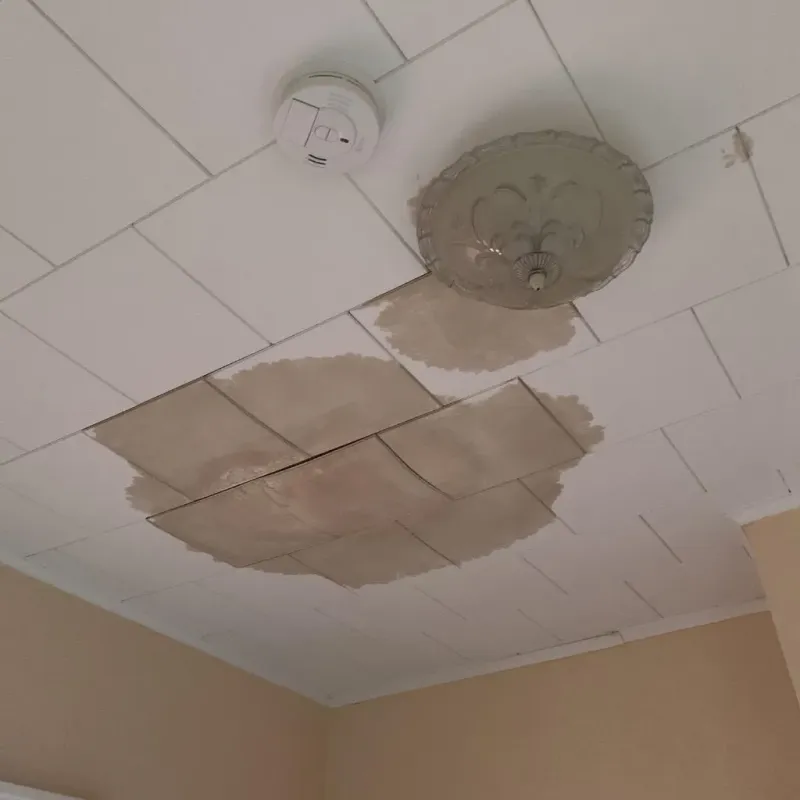 Ceiling Water Damage Repair in Sherman, TX