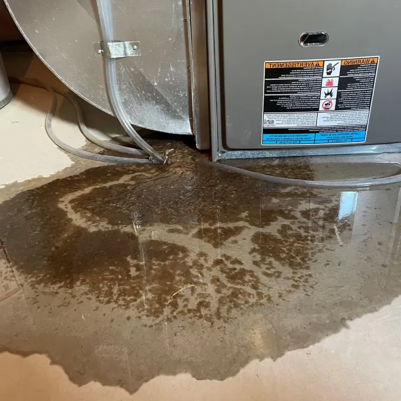 Pipe Burst and Leak Restoration in Sherman, TX