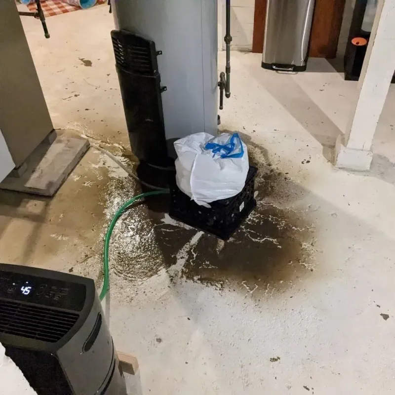 Sewage Backup Cleanup Service in Sherman, TX